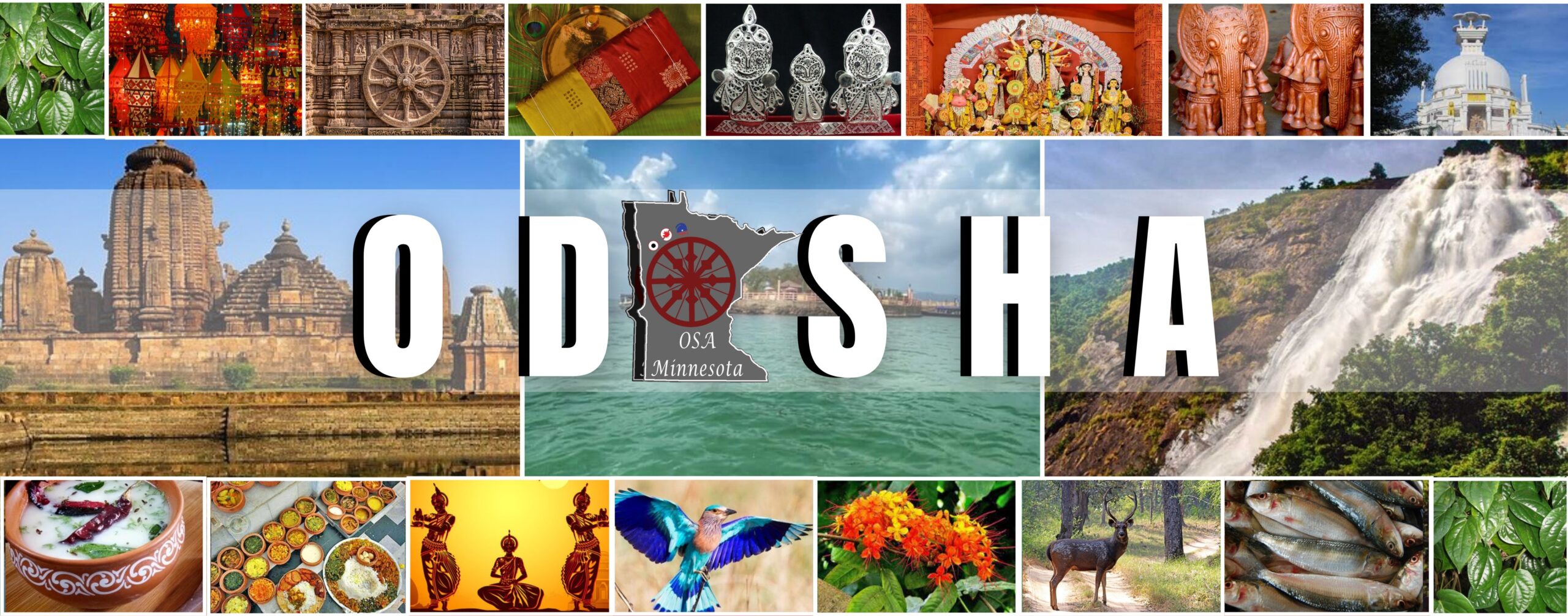 Odia Society of Minnesota (OSAMN)